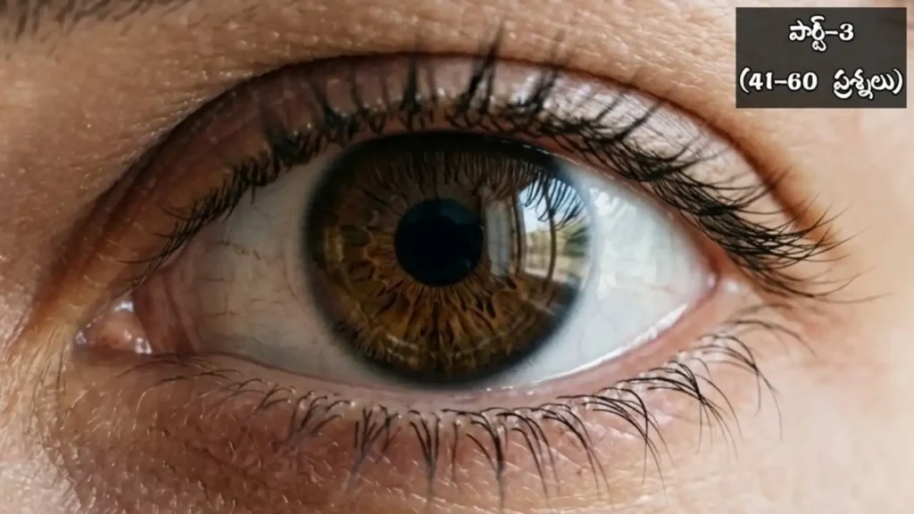 Human Eye MCQs in Telugu Part - 3