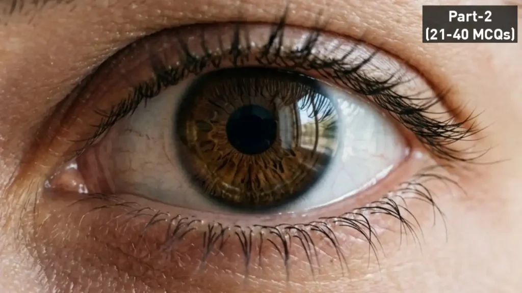 Human Eye Objective Questions