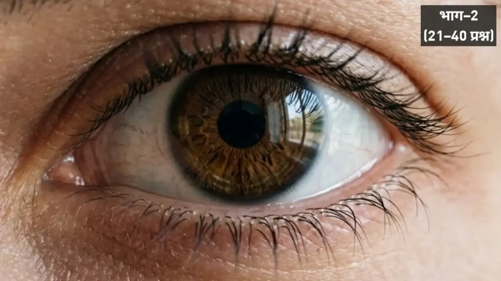 Human Eye Objective Questions in Hindi
