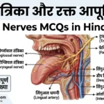 जीभ तंत्रिका और रक्त आपूर्ति | tongue nerves mcqs in hindi