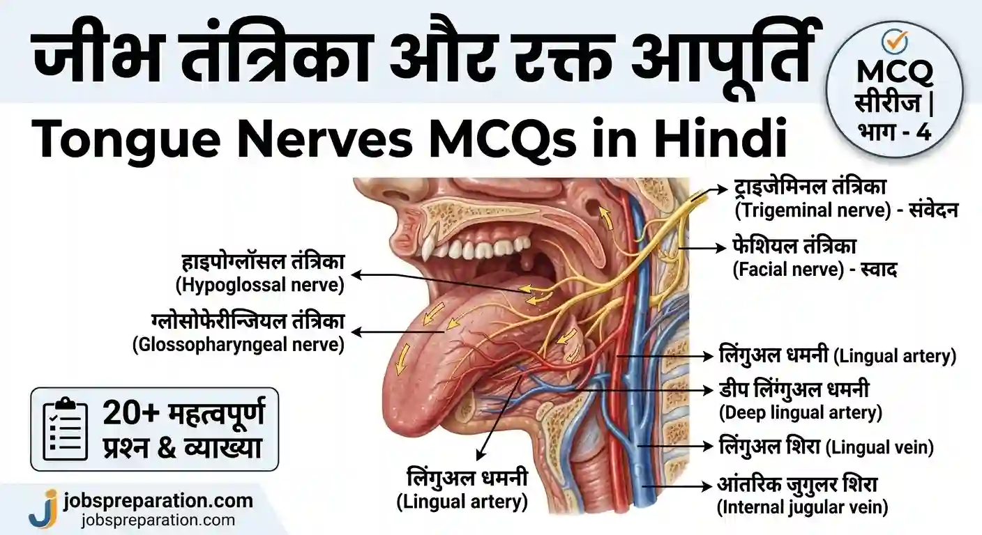 जीभ तंत्रिका और रक्त आपूर्ति | tongue nerves mcqs in hindi