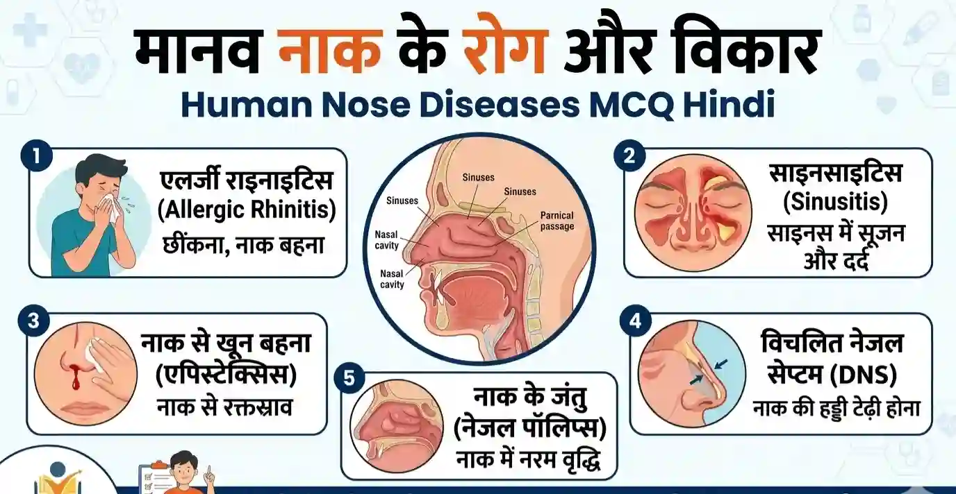 नाक के सामान्य रोग | Human Nose Diseases MCQ Hindi