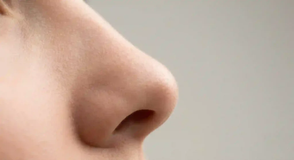 नाक की आंतरिक और बाहरी संरचना | Human Nose Anatomy MCQ Hindi