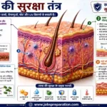 त्वचा के विकार और सुरक्षा | human skin structure mcq hindi part 6