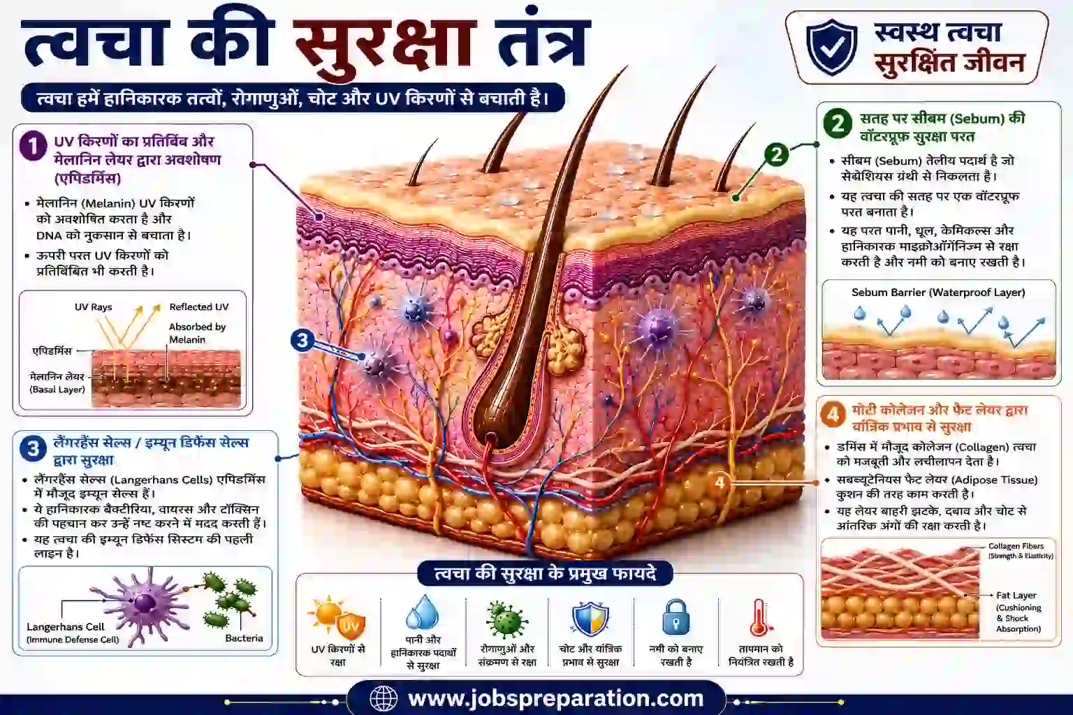 त्वचा के विकार और सुरक्षा | human skin structure mcq hindi part 6